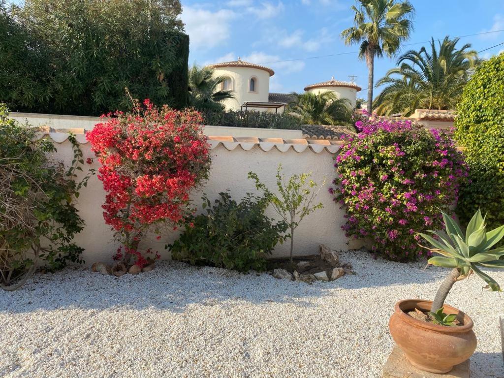 The Best Holiday Villa Calpe Eksteriør bilde